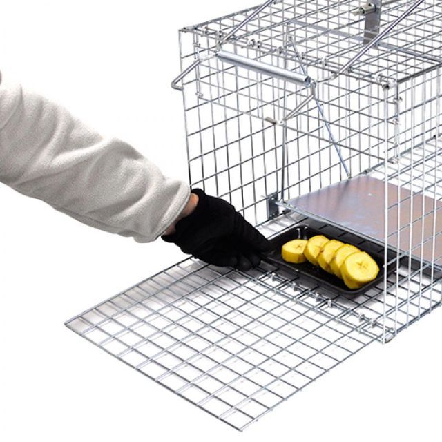 3996358_2