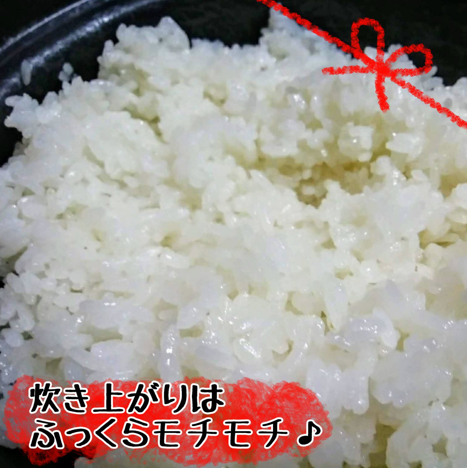 のサムネイル