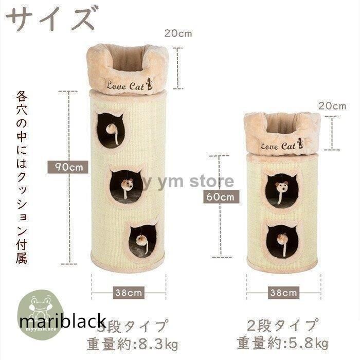 猫 子猫