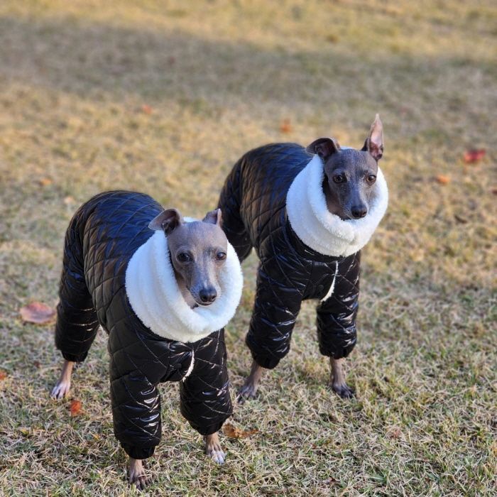 犬服 USHH アシュー ☆キルティングロンパース スーツ 防寒 犬用品