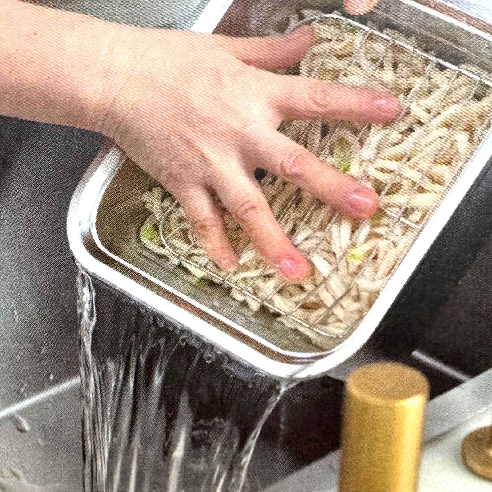 - キャンプ