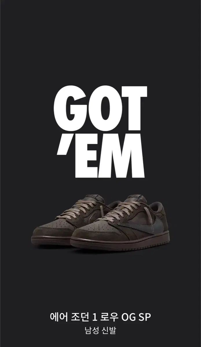 280 NIKE(ナイキ) トラヴィススコット ダークブラウン