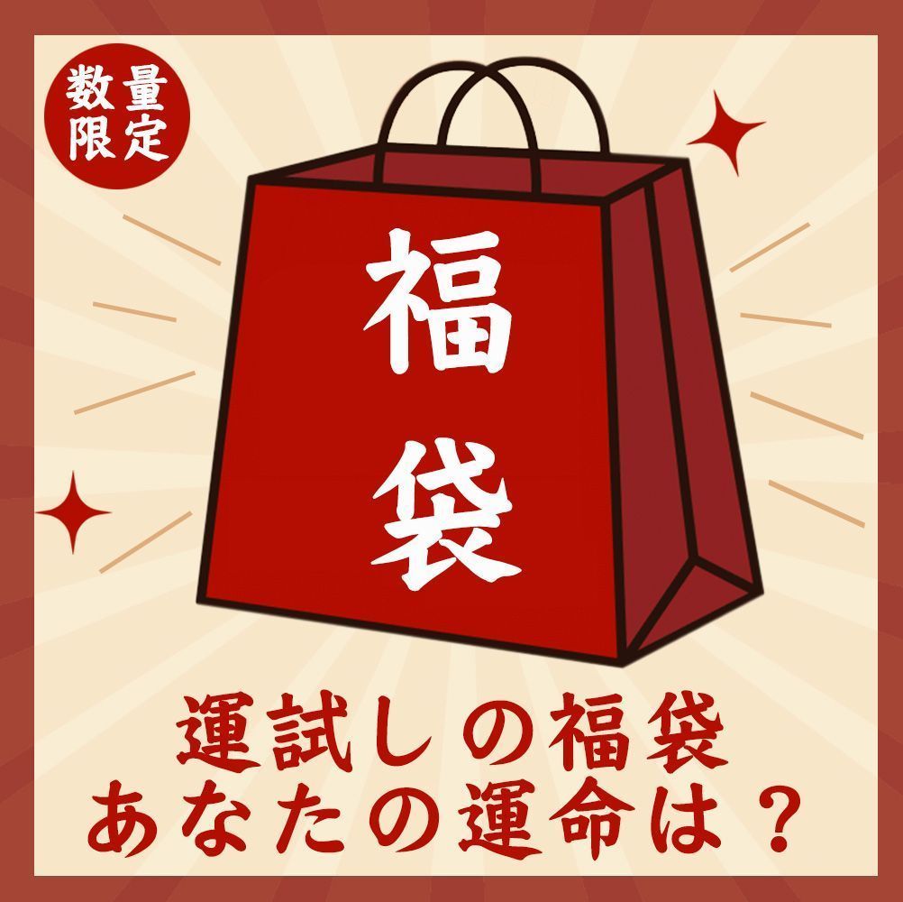 20点セット 運試しの福袋 あなたの運命は 店長おまかせ福袋 何が入っているかは届くまでのお楽しみ ケーブル モバイルバッテリー 車載用品 イヤホン LEDインテリアライトなど 盛りだくさん 父の日 母の日のギフトやプレゼントにもぴったり