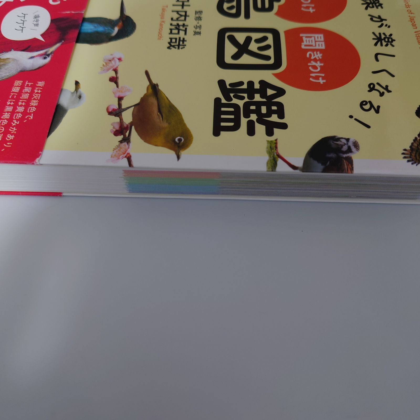 自然散策が楽しくなる！ 見わけ・聞きわけ 野鳥図鑑 叶内 拓哉 (監修