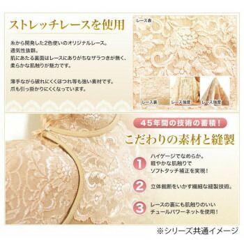 総レースワイヤー入りフルカップブラジャーEFG TYA55-2