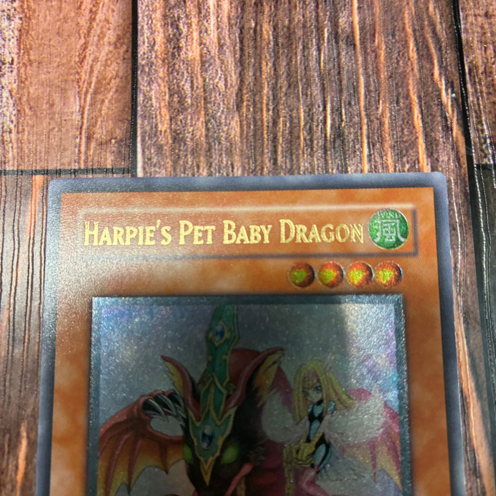 ハーピィズペット仔竜