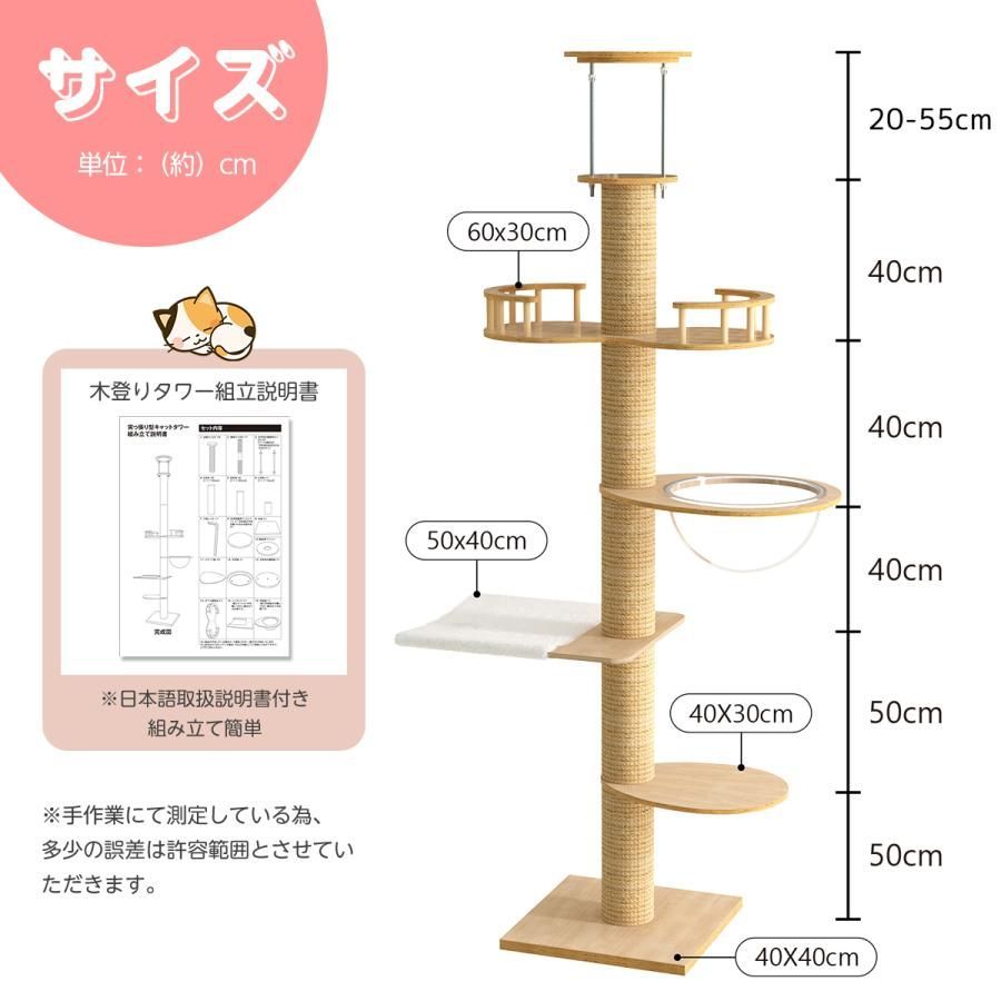 大型猫