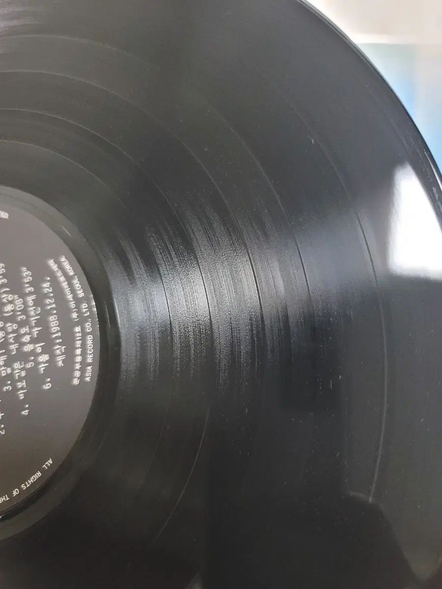 フェスティバル lp