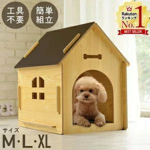 猫 うさぎ