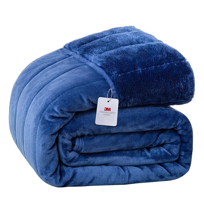 漆器 山中 象堂？果物デザイン 5枚セット