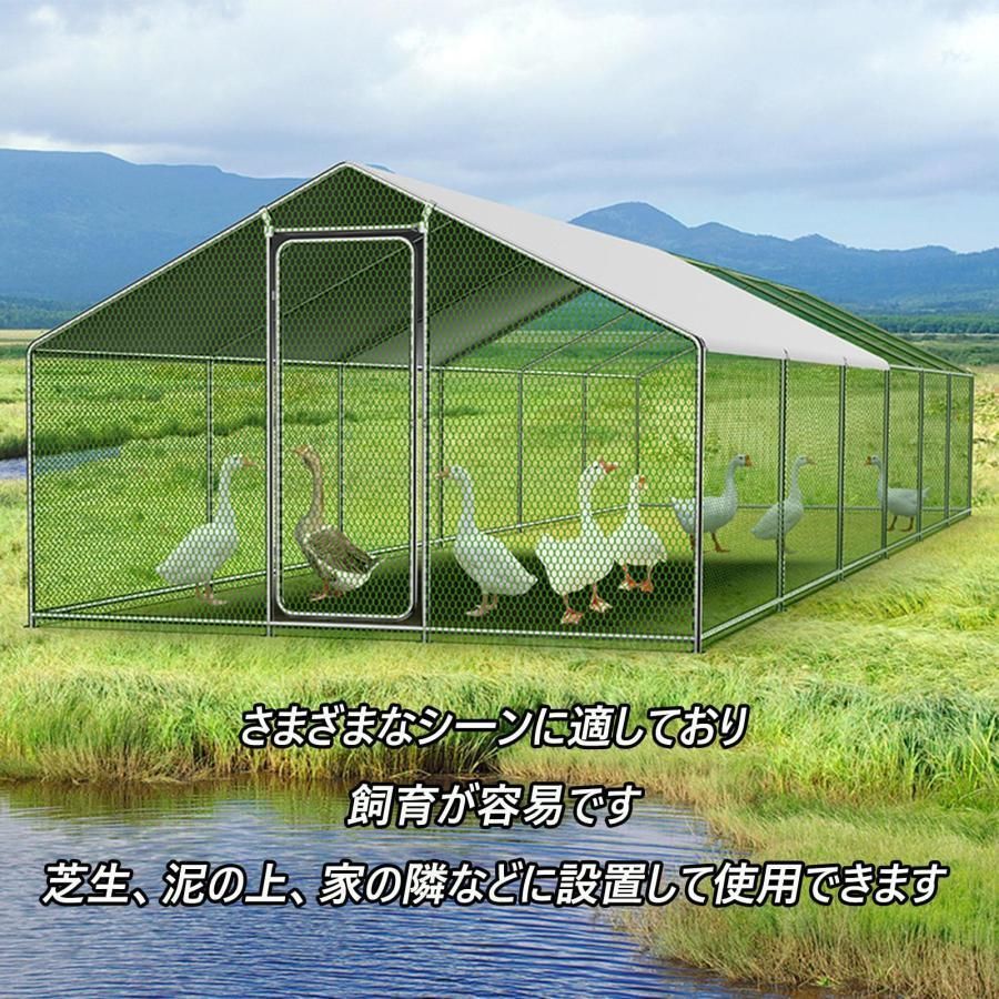亜鉛メッキ鋼製鶏用ケージ 鶏舎