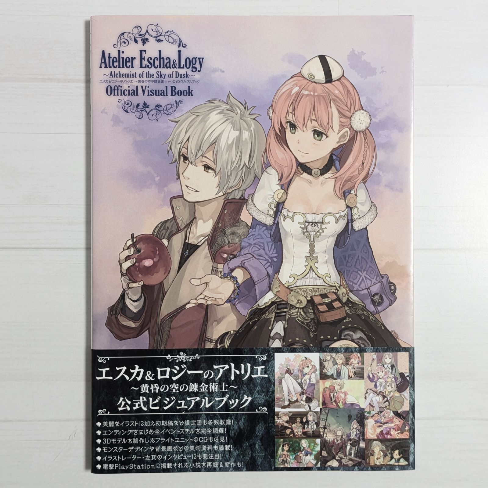 エスカ&ロジーのアトリエ ~黄昏の空の錬金術士~ 公式ビジュアルブック 