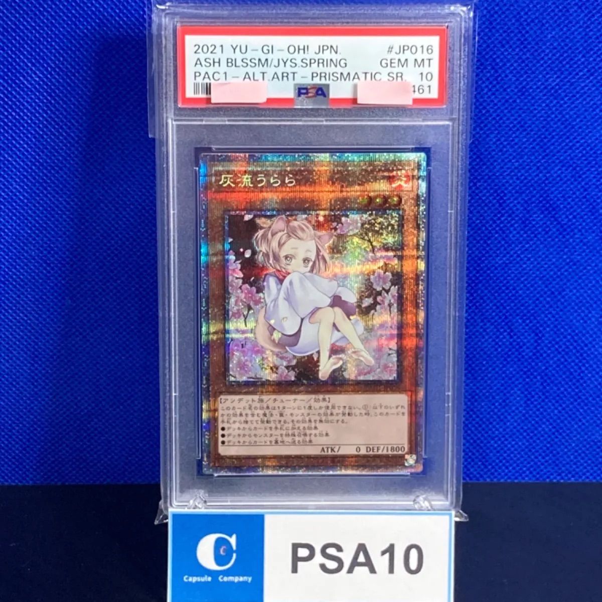 低反発 腰用 灰流うらら 絵違い psa10 マスカレーナ psa10 - 通販