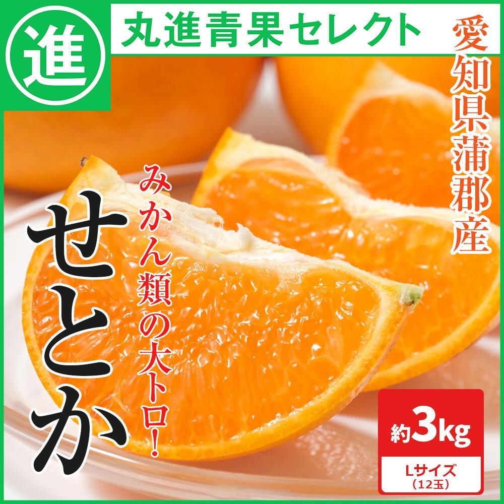 【かんきつの王様】せとか　とろける食感　愛知県蒲郡市産　約3kg　等級赤秀　12玉　ハウス栽培 丸進青果セレクト-0