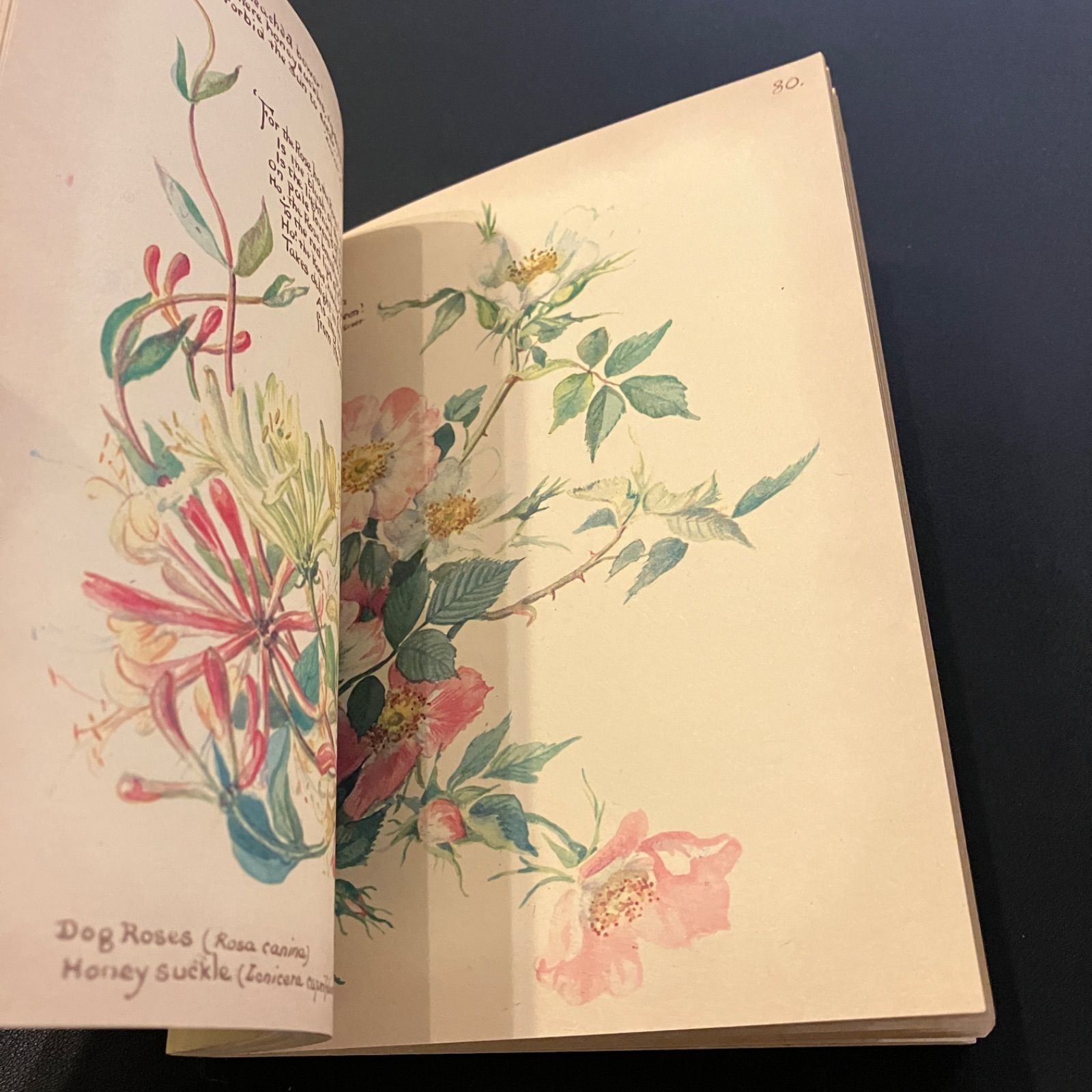 19世紀田舎暮らしの女性の絵日記　The Country Diary of an edwardian Lady