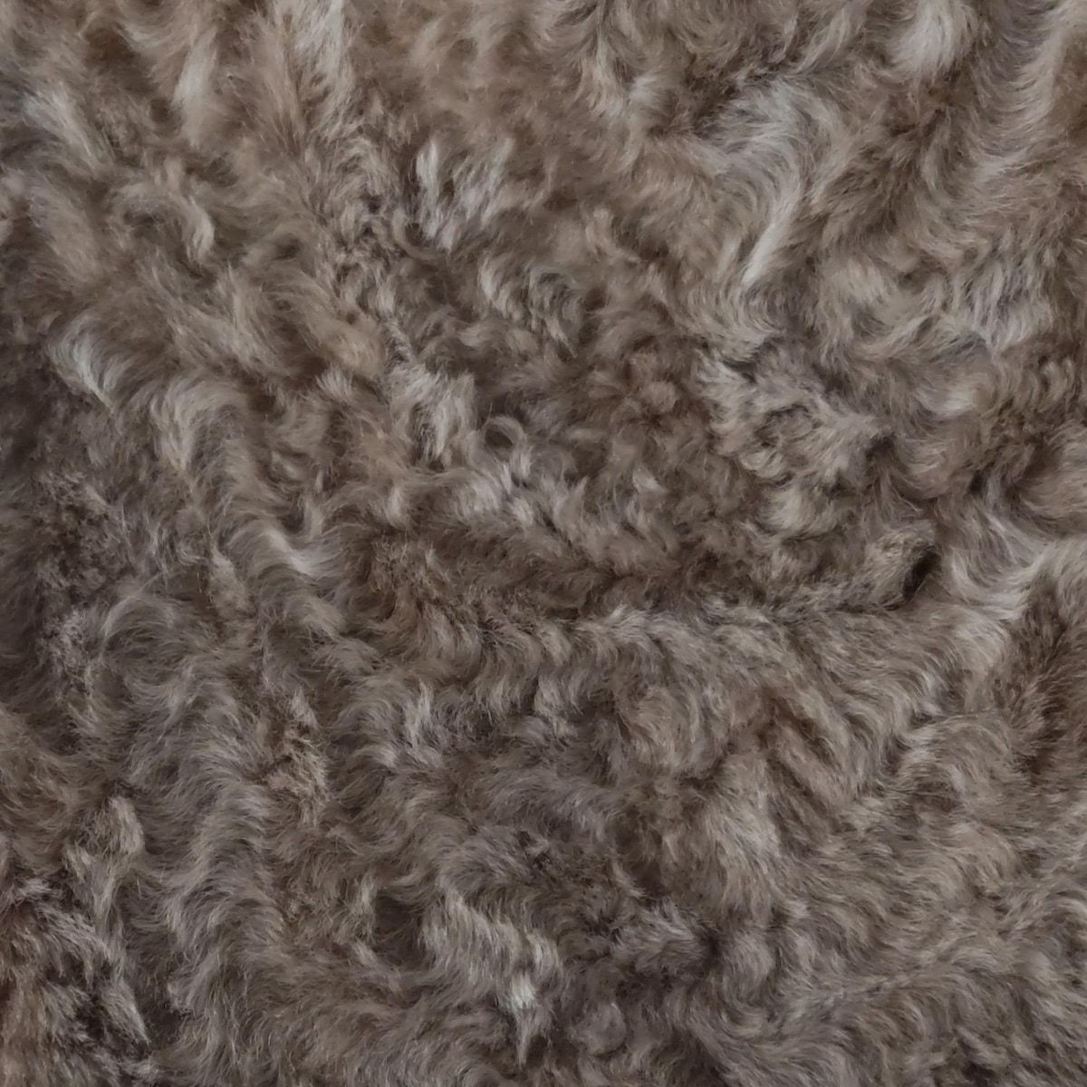 - ライトブラウン