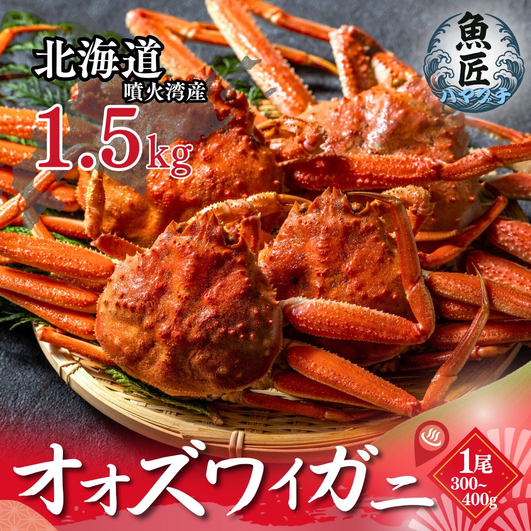 北海道産 オオズワイガニ 1.5kg 姿 ボイル 4-5尾 ギフト 贈答用 北海道産 北海道 カニ 蟹 ズワイガニ