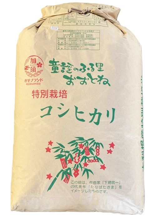 令和5年産 埼玉県加須市北川辺産新米コシヒカリ10kg - 米