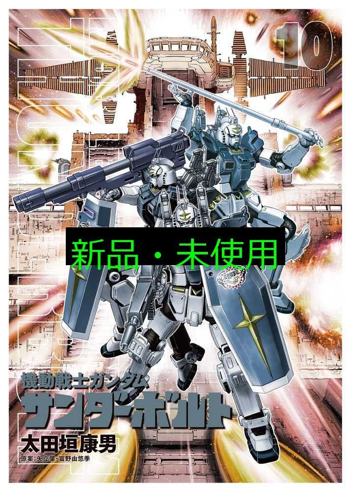 機動戦士ガンダム サンダーボルト 10 絵本&DVD付き限定版 (BIG
