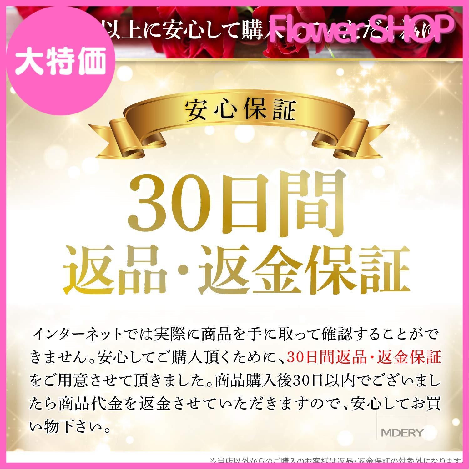 大特価】ハムデリー A4ワイド 【アイドル誌の切り抜きに人気