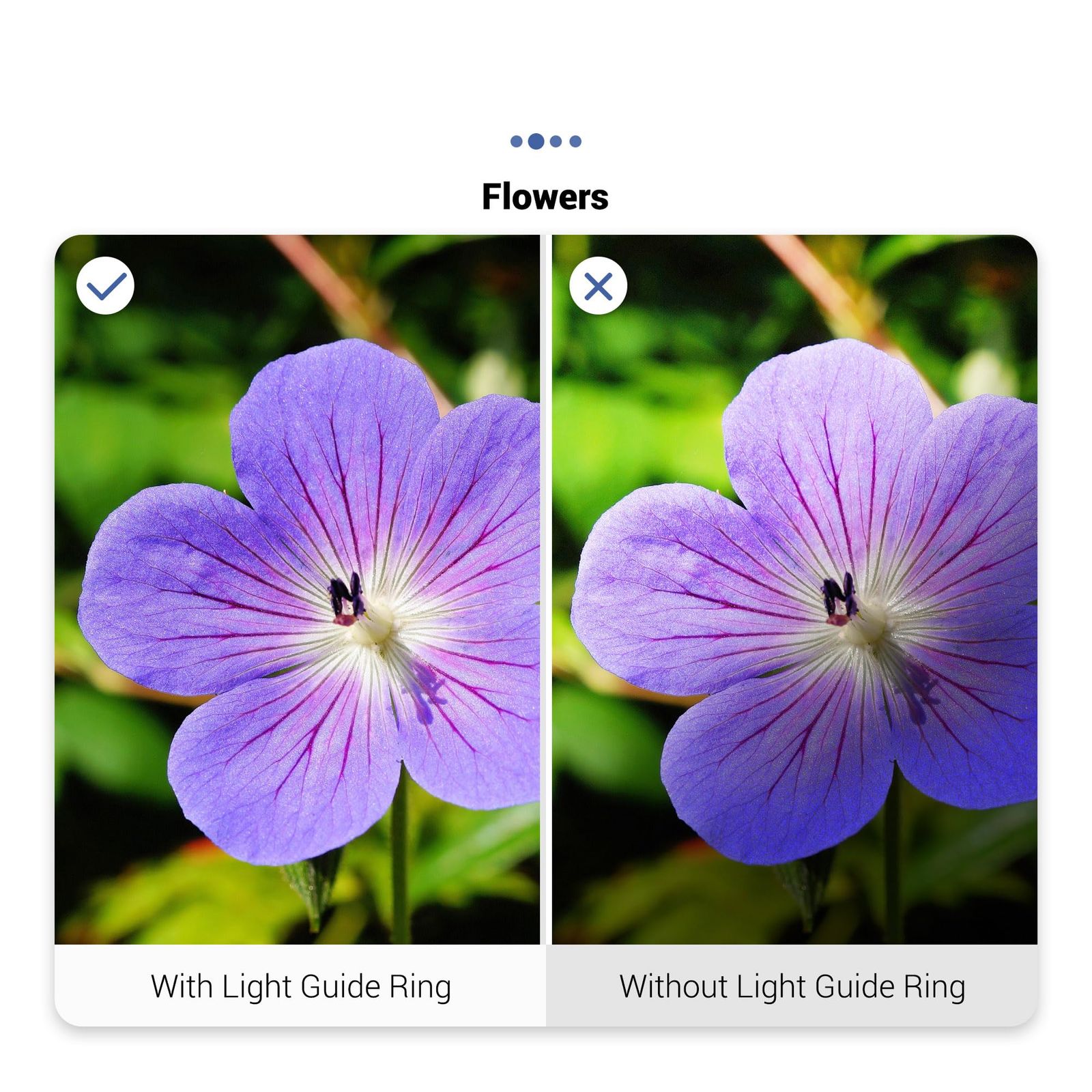 [値下げ]オリンパス TG-4 純正LEDライトガイド＆SDカード付き デジカメ 値下げ]オリンパス TG-4 純正LEDライトガイド＆SDカード付き デジカメ