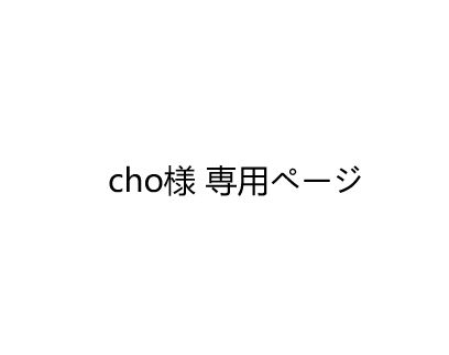 cho 様 専用ページ - メルカリ