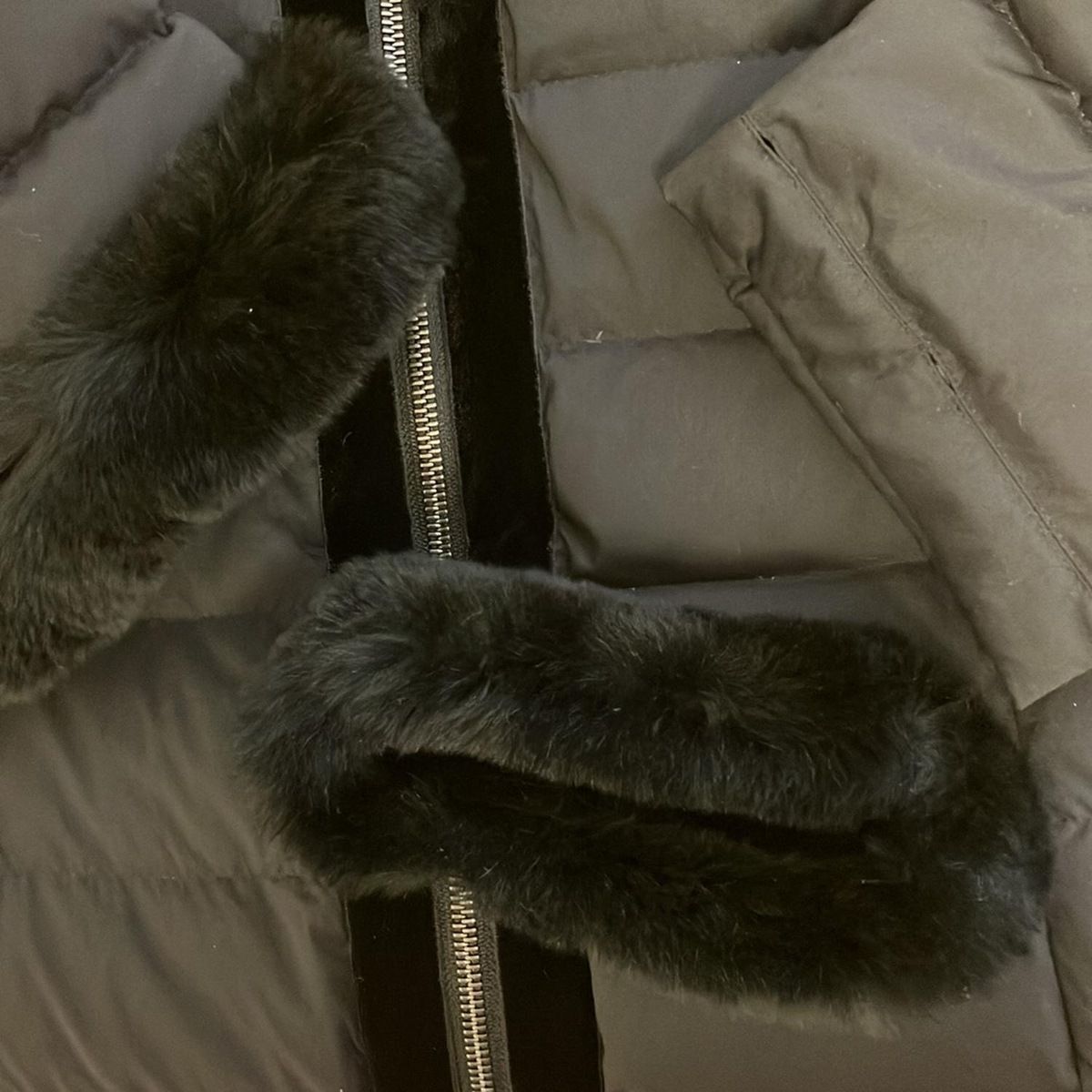 レッキスラビット