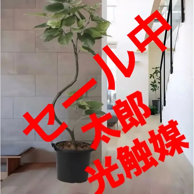 光触媒 人工観葉植物 ウォールグリーン フェイクグリーン 光触媒 人工観葉植物 ウォールグリーン フェイクグリーン