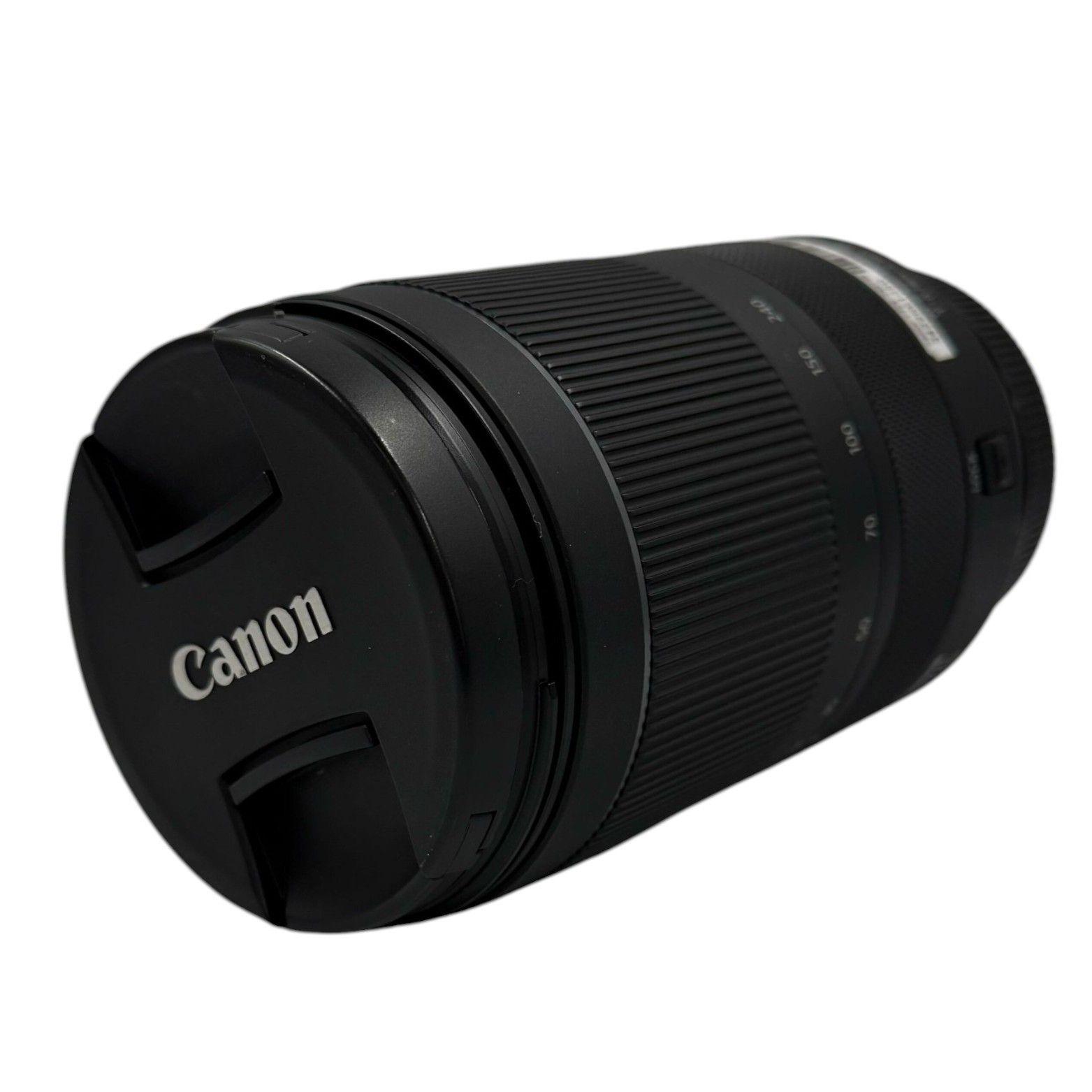 Amazon.co.jp: WD 大型コーカサスオオカブト タイリクコーカサス標本