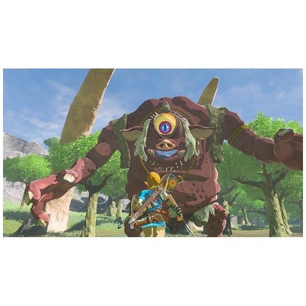 新品未開封品（シュリンク有）ゼルダの伝説 ブレス オブ ザ ワイルド 新品未開封ゼルダの伝説ブレスオブザワイルド Switch2 Edition