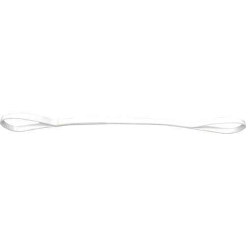 ＴＥＳＡＣ　耐化学薬品用スリング（ＪＩＳ２等級・両端アイ形）２５ｍｍ幅×４．５ｍ