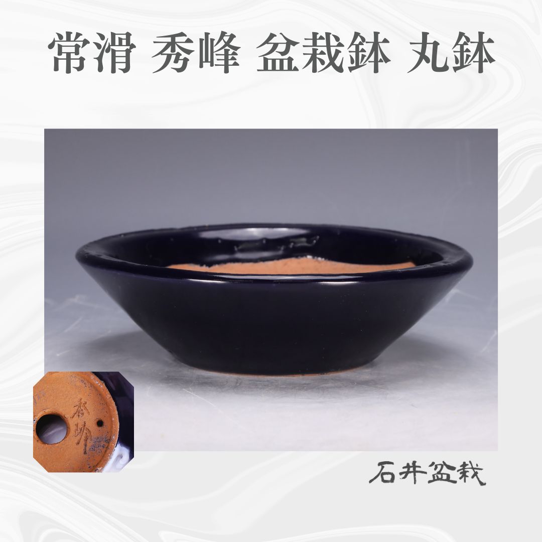 石井盆栽 常滑 青 秀峰 盆栽鉢 丸鉢 ｐ-096