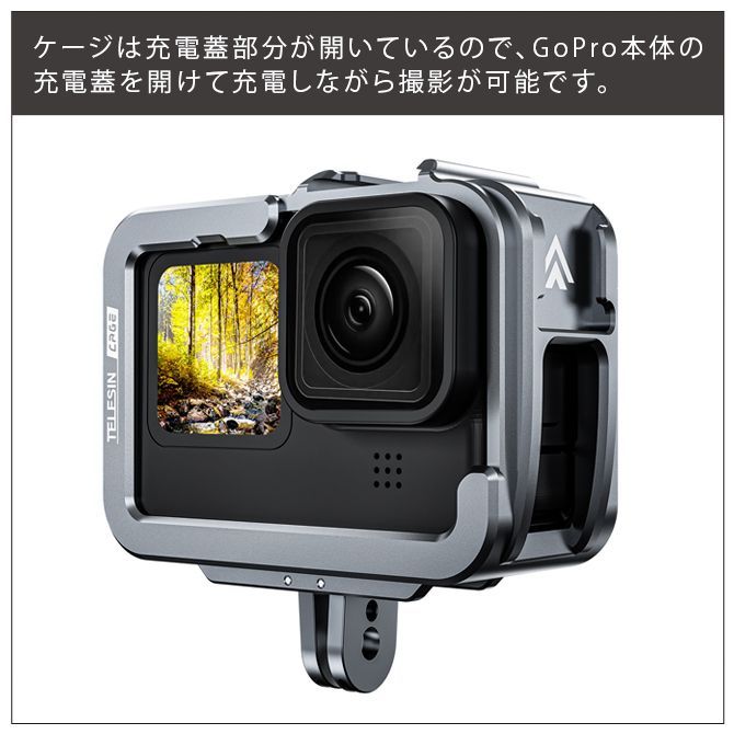 GoPro 塩辛 HERO7 BLACK本体+アクセサリー多数 ケース付き