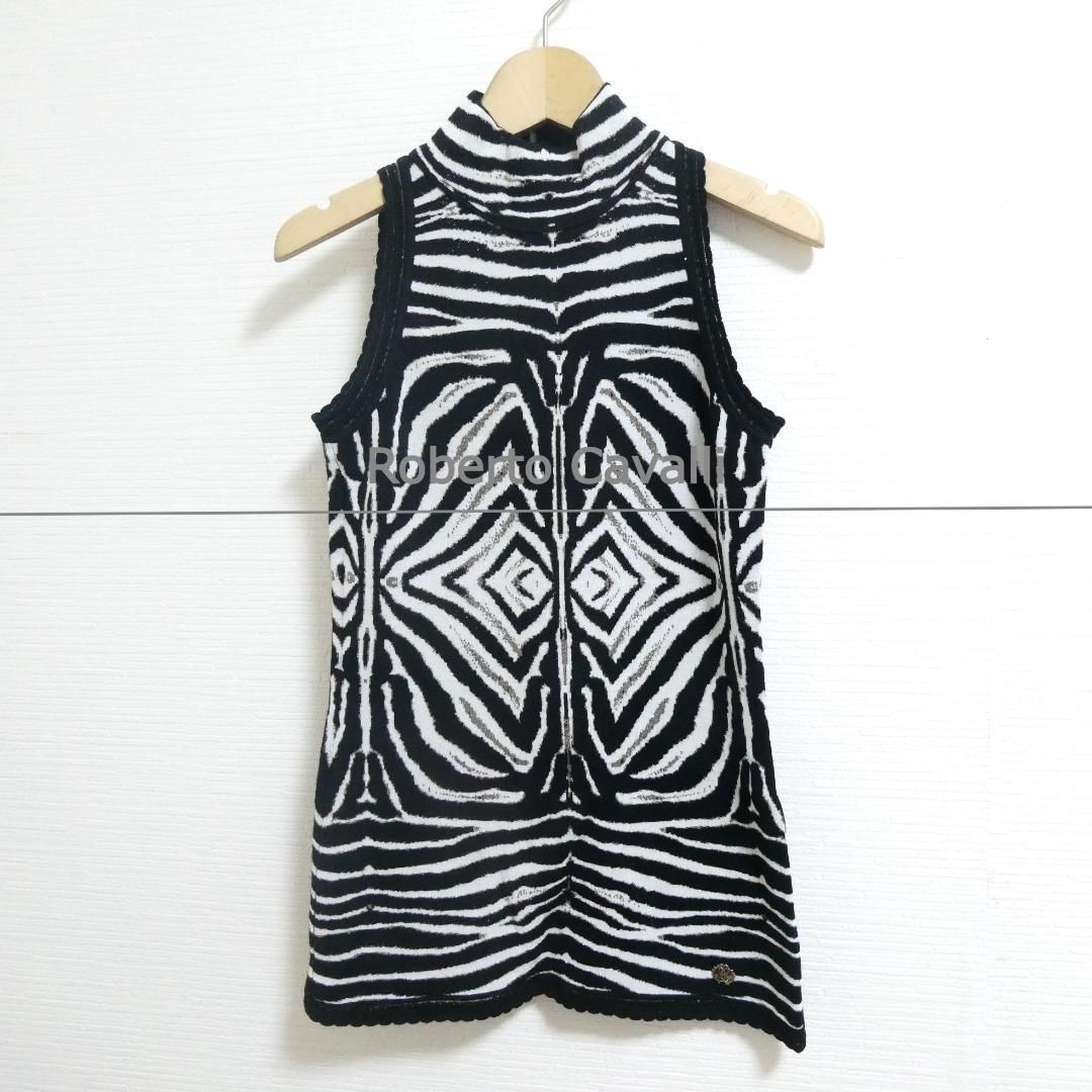 新品同様 ロベルトカヴァリ ロベルトカバッリ Roberto Cavalli 