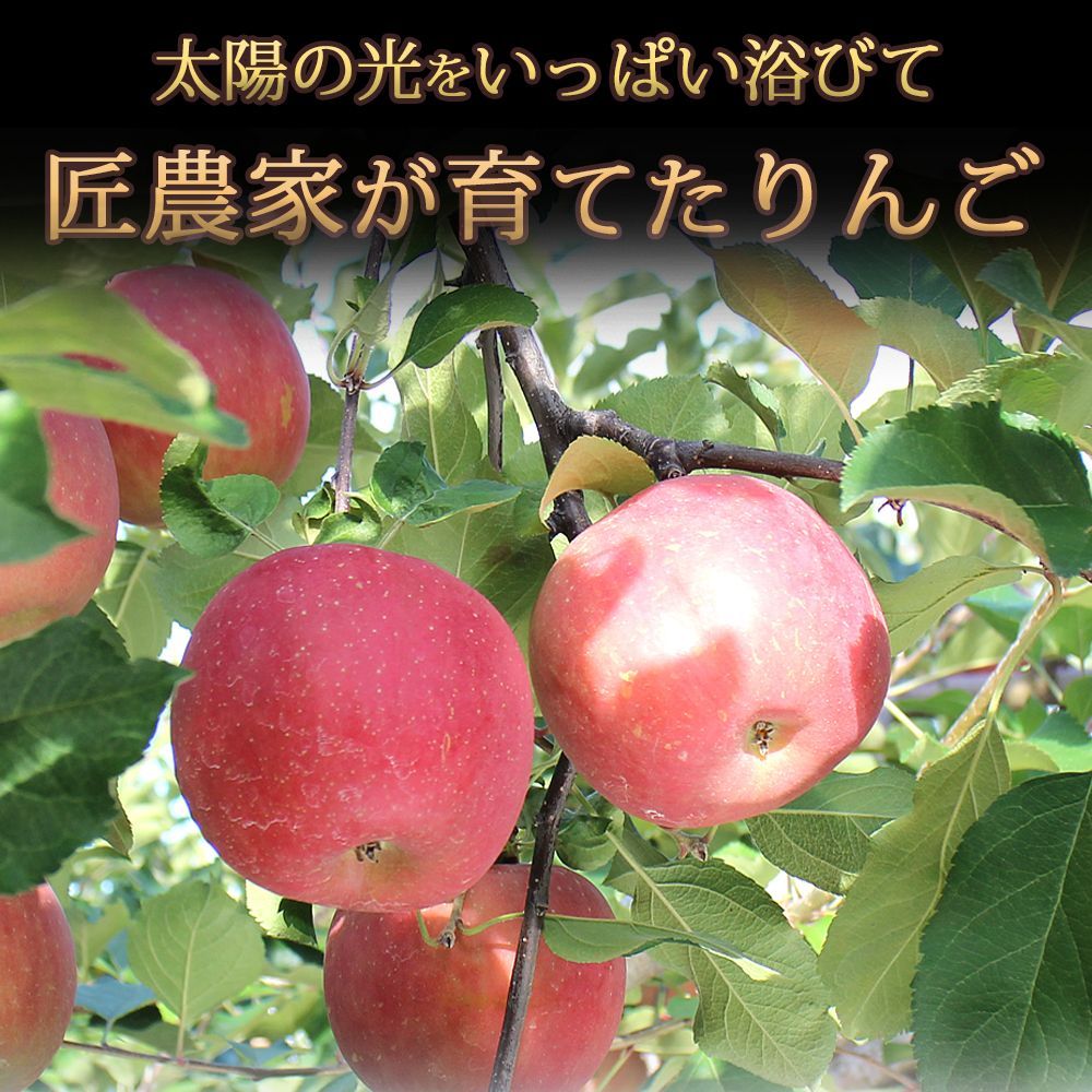 岩手県産 産地直送 サンふじ りんご 約3kg 送料無料 りんご 果物-4