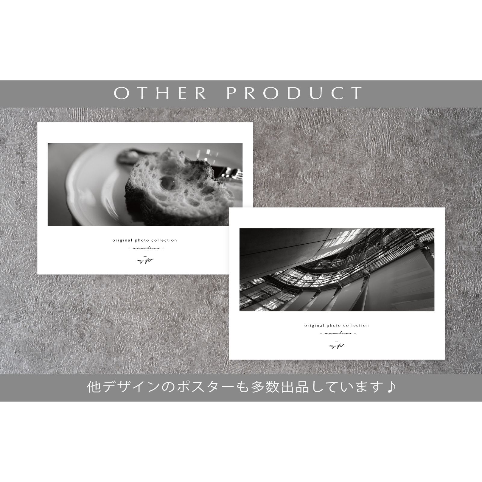 モノクロ写真作品「白鳥」A3サイズ アート インテリア モノクロ写真作品「白鳥」A3サイズ アート インテリア 芸術写真