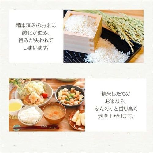 アイリスオーヤマ 家庭用