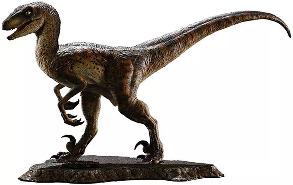 木彫 恐竜 バンビラプトル 頭骨模型実物大12cm 木彫 恐竜 ブラキロフォ