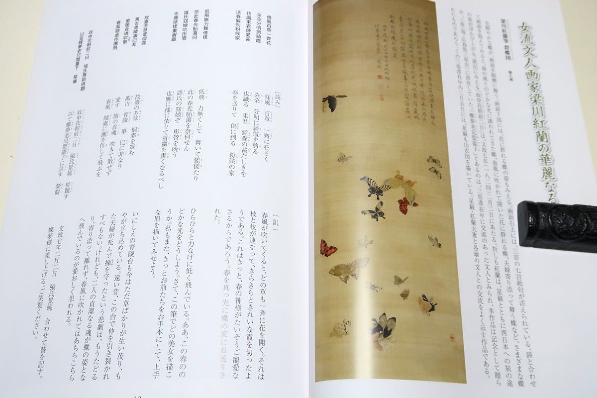 梁川紅蘭・女流文人画家の華麗なる世界/紅蘭の波乱に満ちた人生