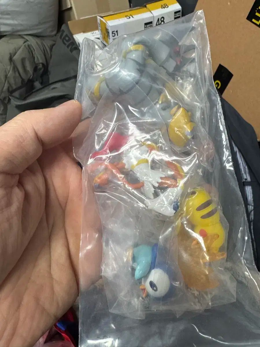 新王地域編