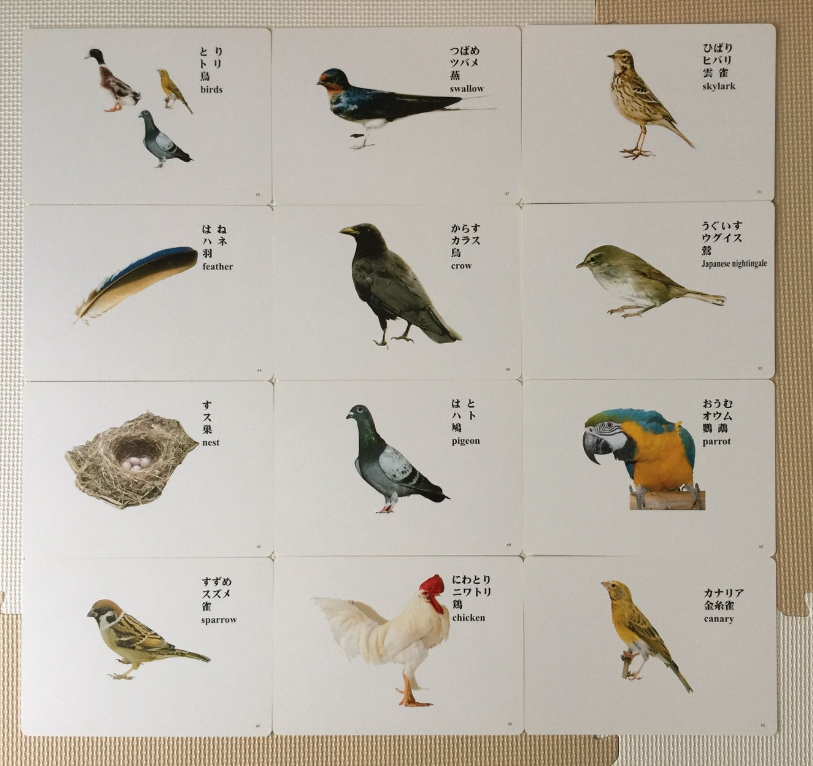 超高速楽習カード1〜16 全巻 +時計カード エジソン