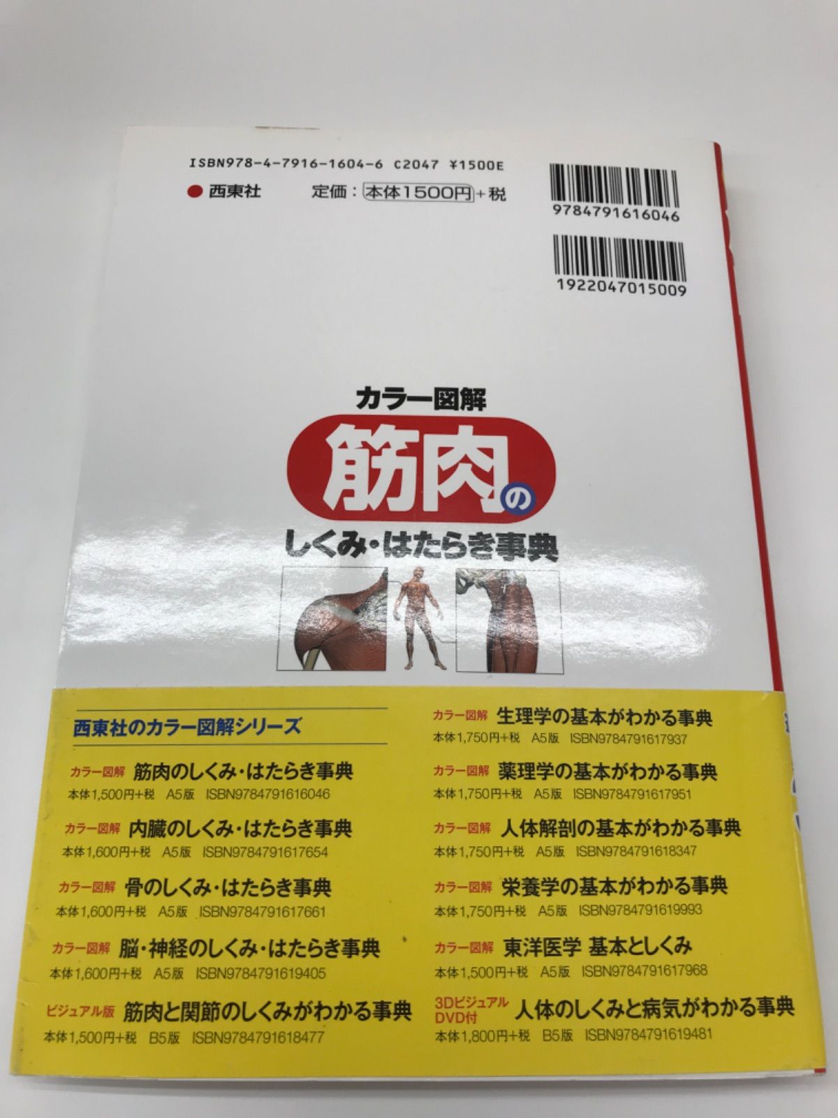 カラー図解筋肉のしくみ・はたらき事典 - メルカリ