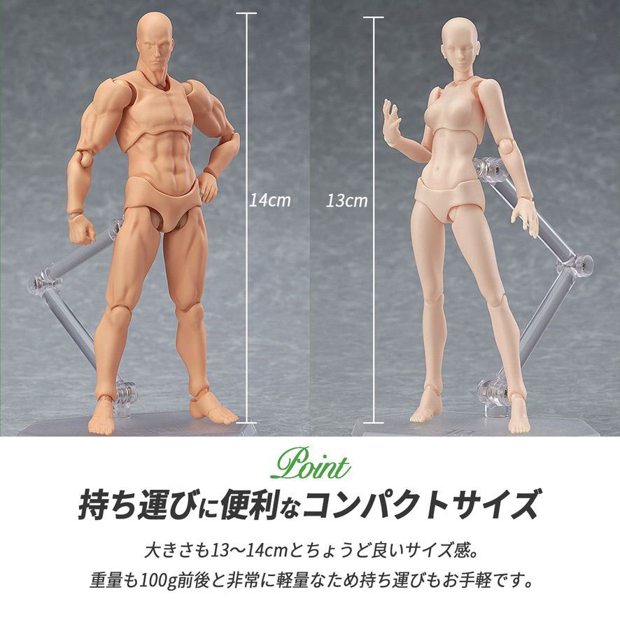 デッサン人形 デッサンドール 男女セット台座付き 人形人体 模型 フィギュア