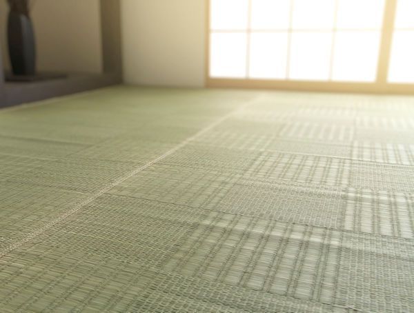 純国産い草上敷きカーペット 格子柄 江戸間6畳 ラグ（841） 【公式通販】