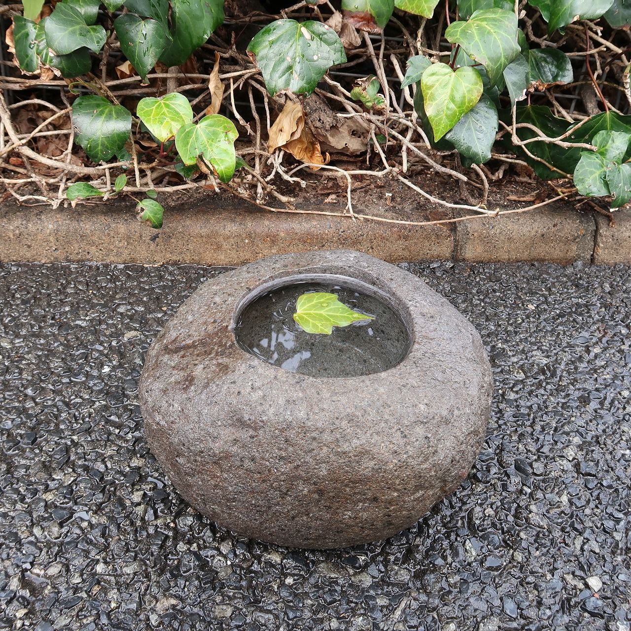 すいれん鉢