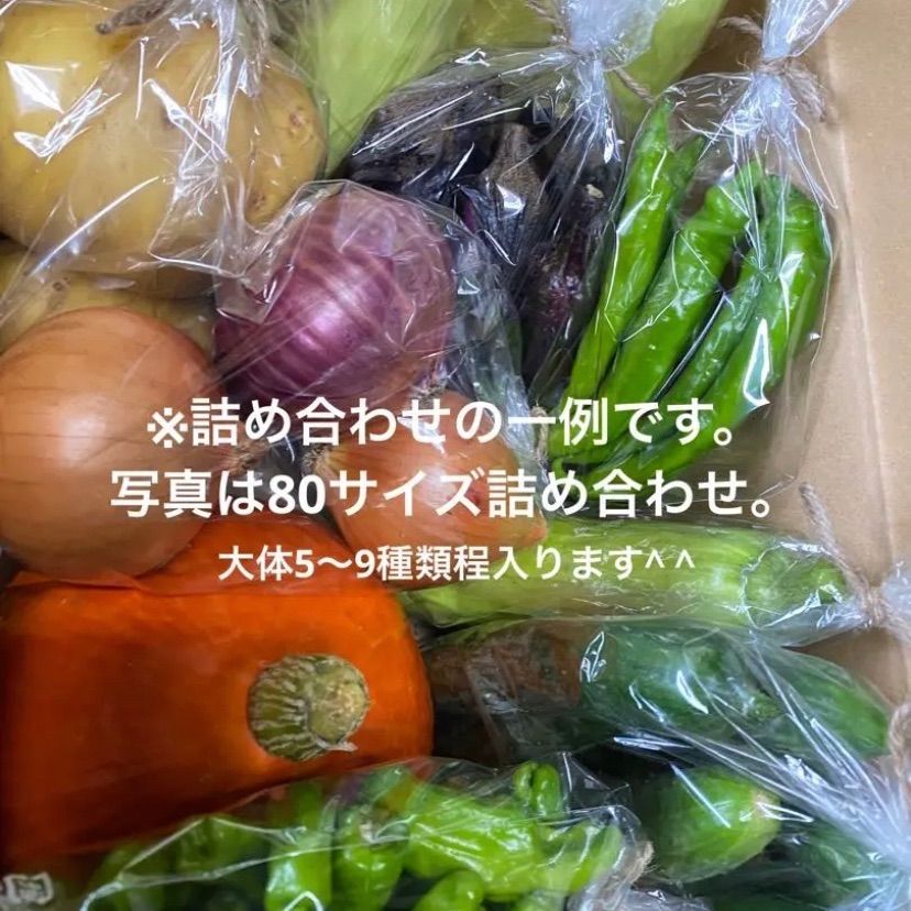 岩手県産 新鮮野菜の詰め合わせ　60サイズ ⚠︎常温便⚠︎ おまかせ野菜BOX