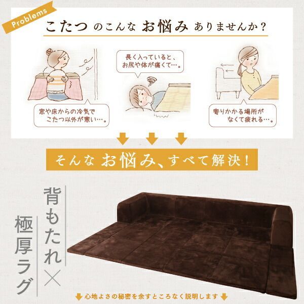別売品 ラグカバ?
