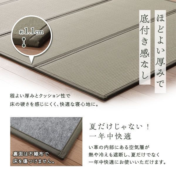 畳マット セミダブル 約120×200×1.1cm い草 100％ 双目織 緑