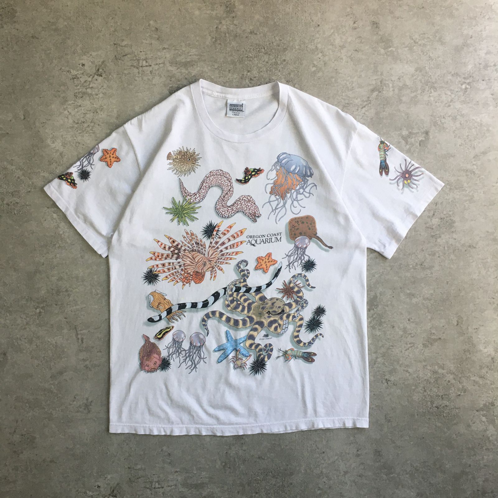 USA製 REI HARBERSIDE GRAPHICS プリント Tシャツ USA製 REI HARBERSIDE GRAPHICS プリント Tシャツ