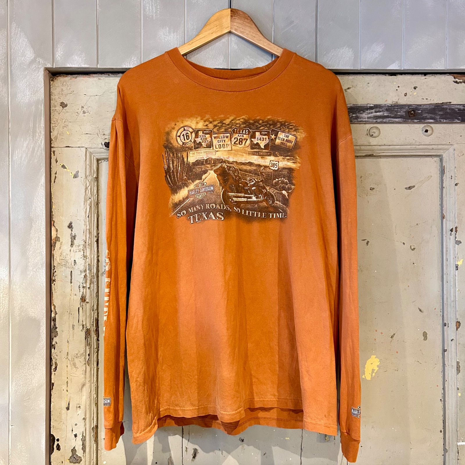 ハーレーダビッドソン 袖ロゴ　バックプリント　ロンT HARLEY-DAVIDSON ロゴロンT 袖プリバックプリント長袖Tシャツ | 古着屋 Uan